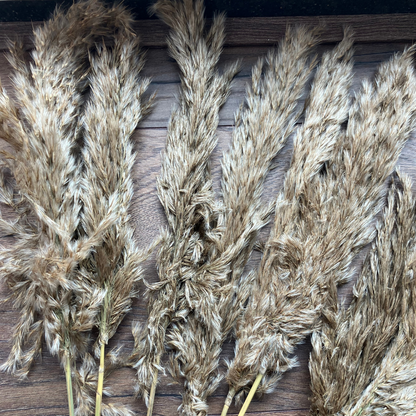 Party in a Box - Babyshower Boho- Deluxe