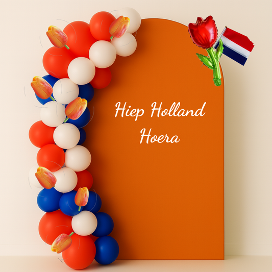 Party in a Box- Holland - Diy pakket